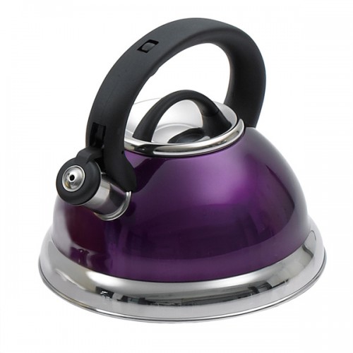 Creative Home Alexa 3-quart Whistling Stainless Steel Metallic Purple Tea Kettle